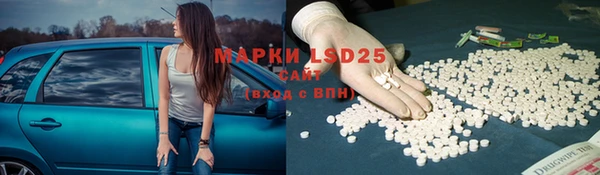 индика Балабаново
