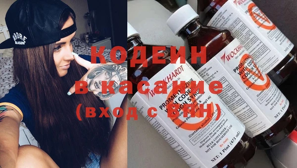индика Балабаново
