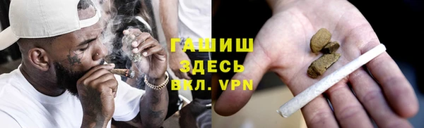 прущие грибы Снежногорск