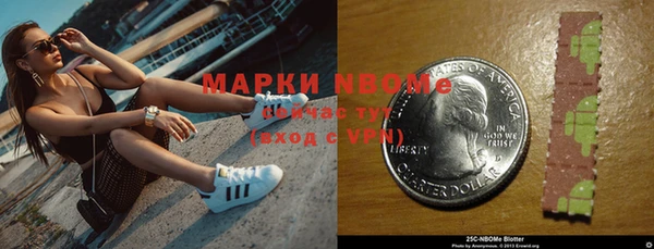 индика Балабаново